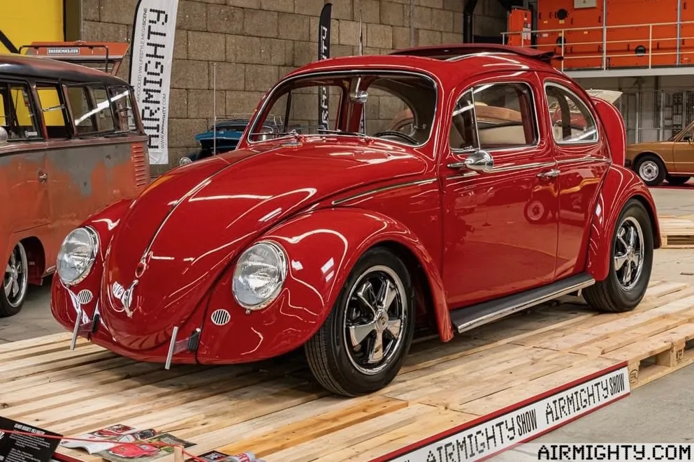 1954 RHD Oval Beetle