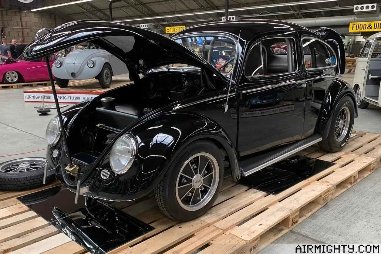 1954 RHD Oval Beetle