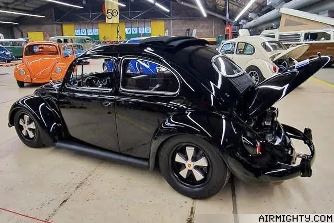 1954 RHD Oval Beetle